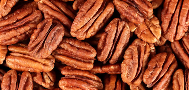 Tropik Meyve Üretiminin Türkiye`deki Adresi