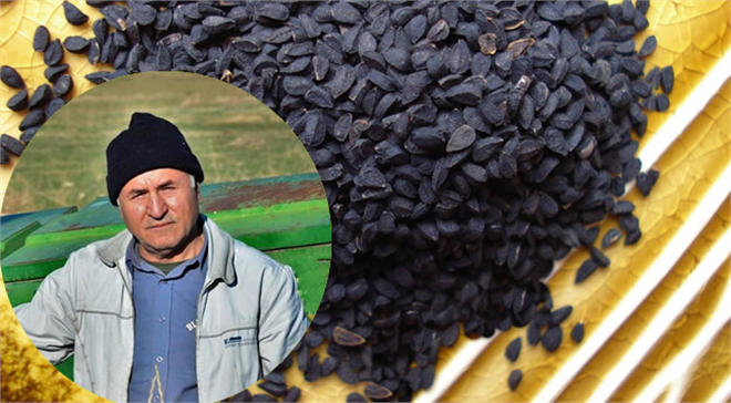 Çörek Otu Çiftçisi : Ahmet Dede Şahinli