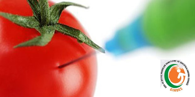 GİMDES GDO Hakkında Ne Diyor?