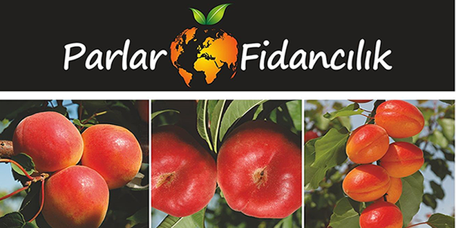 Parlar Fidancılık Türkiye`ye Yeni Çeşitler Kazandırıyor