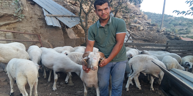 Köyüne, Hayvanlarına Geri Dönen Akıllı Çiftçi Musa Akıllı