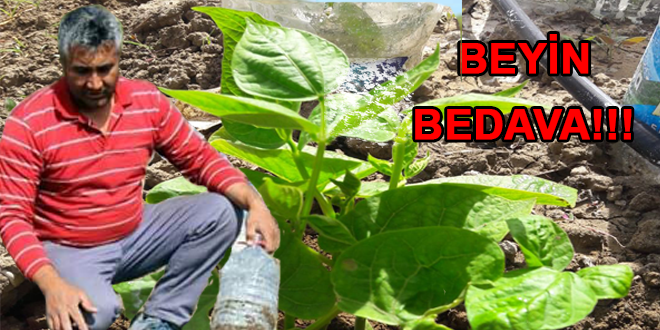 Beyin Bedava! Pet Şişelerden Sera Yaptı. Herkese Örnek Oldu